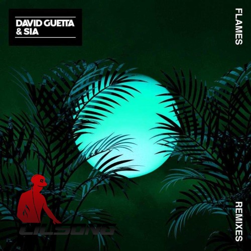 David Guetta & Sia - Flames (Leandro Da Silva Remix)